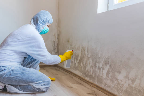 Licensed Mold Removal service in Angier, NC - WQB Mold Removal