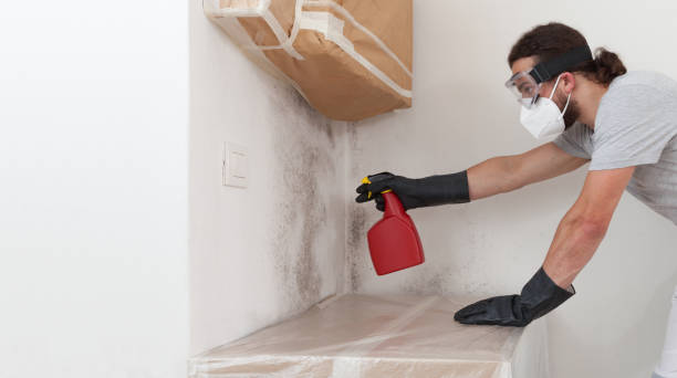 Professional Mold Removal technician working in Angier, NC
