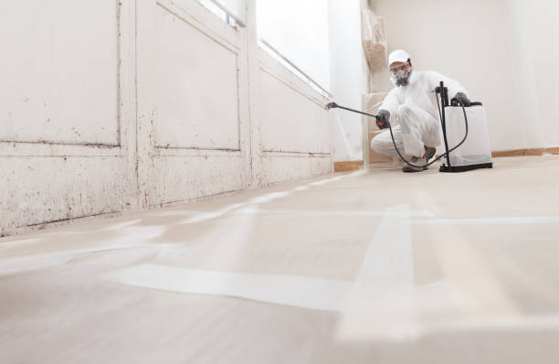 24/7 Emergency Mold Removal experts in Angier, NC