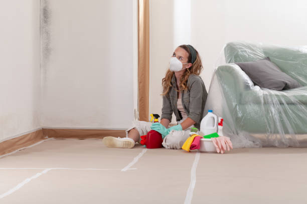 Trusted Mold Removal service in Angier, NC - WQB Mold Removal